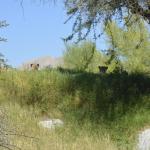 FITS_154 (May 04, 2019)